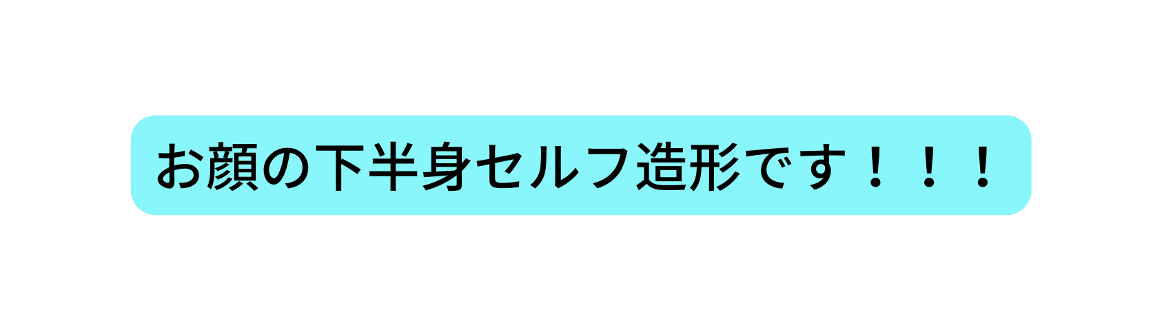 お顔の下半身セルフ造形です