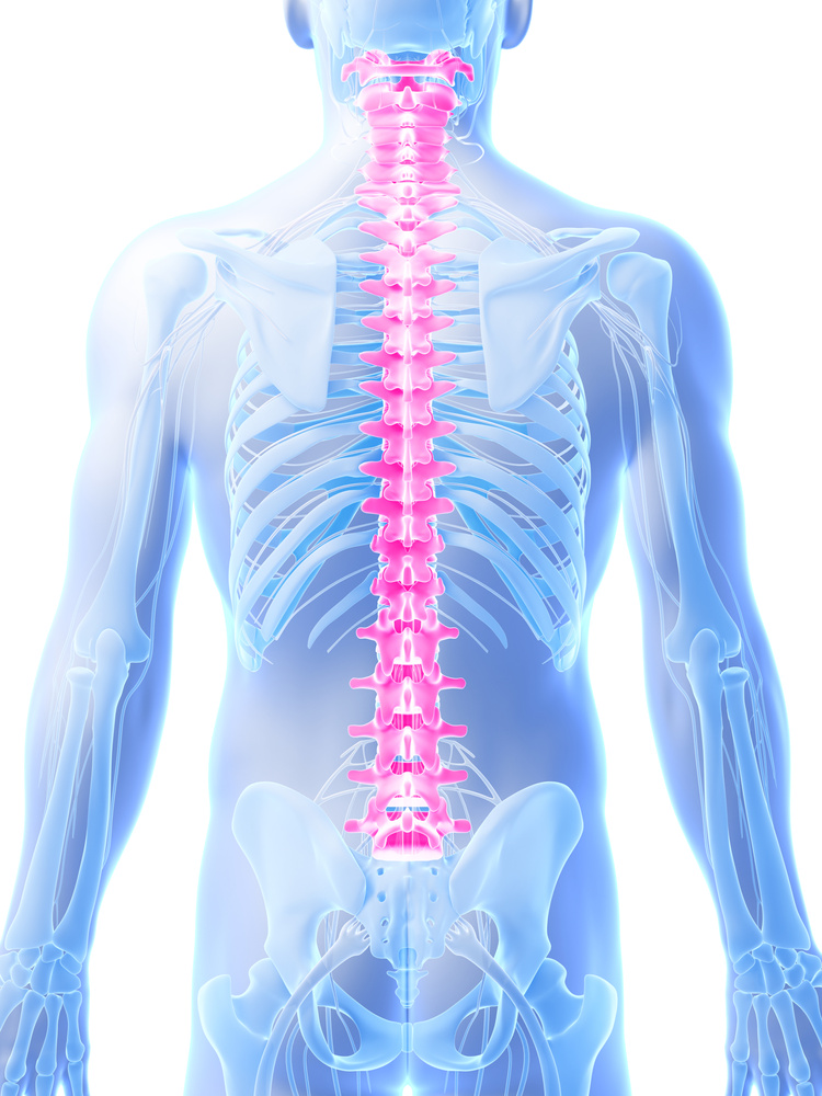 painful spine and back nerves